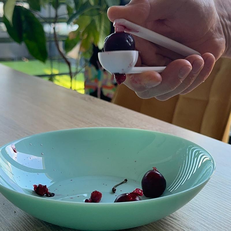 เครื่องมือแยกเมล็ดเชอร์รี่แบบพ - Kitchen Gadgets To 3D Print บทวิจารณ์และราคา