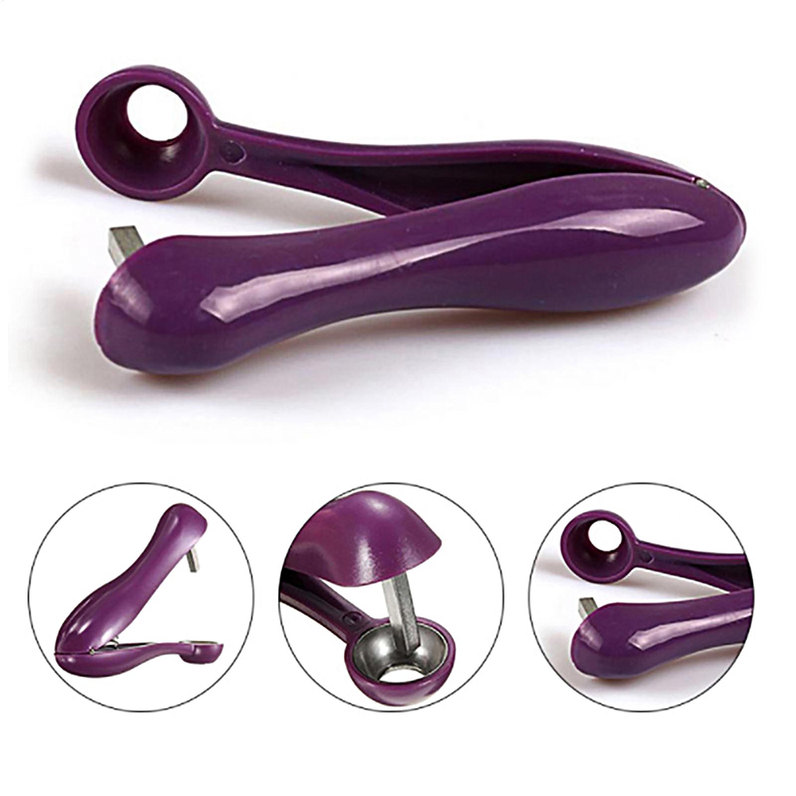 เครื่องมือแยกเมล็ดเชอร์รี่แบบพ - Kitchen Gadgets Kitchen บทวิจารณ์และราคา